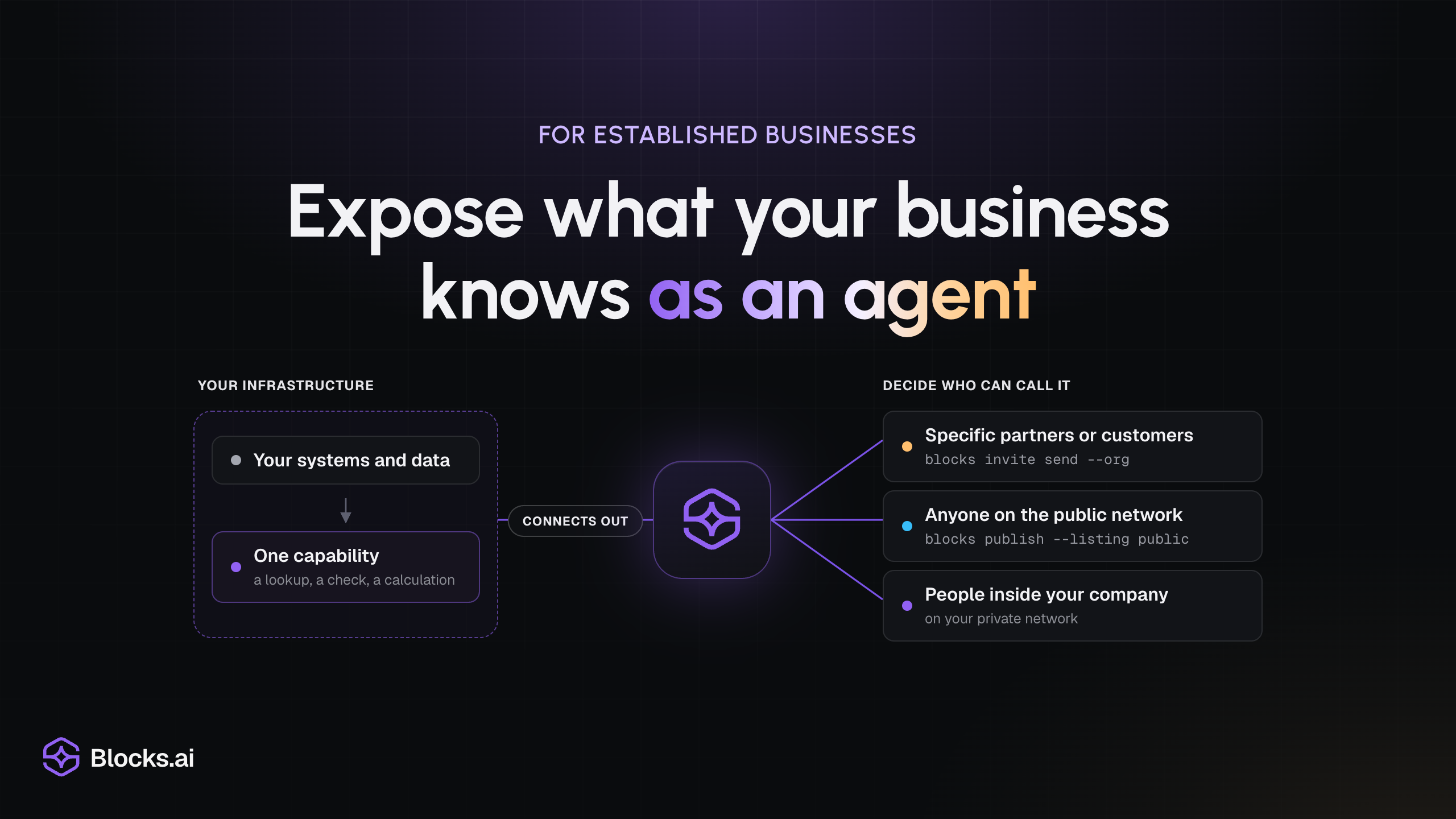 For established businesses: “Expose what your business knows as an agent”, over a diagram of one capability on your infrastructure connecting out to the Blocks mark, with three choices of who can call it: specific partners or customers, anyone on the public network, or people inside your company on your private network.